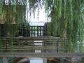 DSCF0267 DSCF0267
