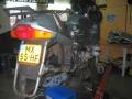 IMG_0006 IMG_0006