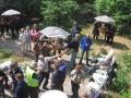 IMG_1162 IMG_1162