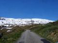 Afbeelding-139