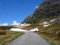 Afbeelding-141