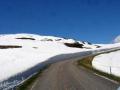 Afbeelding-142