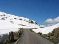 Afbeelding-147