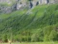 Afbeelding-319
