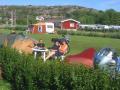 Afbeelding-356