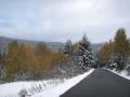 PICT0294