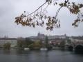 PICT0303