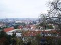 PICT0316