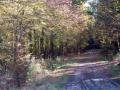 tsjechie-reis-029