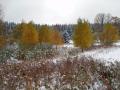tsjechie-reis-080