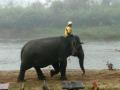 Thailand-lowres-104 Thailand-lowres-104