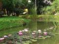 Thailand-lowres-105 Thailand-lowres-105