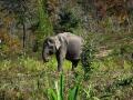 Thailand-lowres-118 Thailand-lowres-118