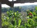 Thailand-lowres-125 Thailand-lowres-125