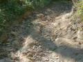 Thailand-lowres-128 Thailand-lowres-128