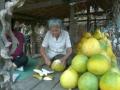 Thailand-lowres-131 Thailand-lowres-131
