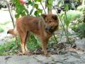 Thailand-lowres-221 Thailand-lowres-221