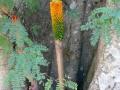 Thailand-lowres-223 Thailand-lowres-223