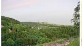 DSC00320