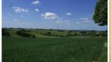 DSC00057