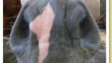 3P1020611