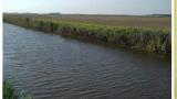DSCN0053