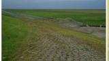 DSCN0067