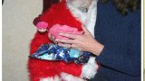 IMG_1975 IMG_1975