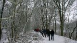IMG_2056_1
