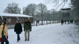 IMG_2061_1