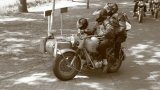 Sander-110501-15