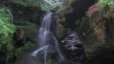 C_Bert-032 C_Bert-032