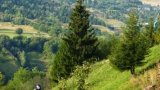 110831-100p-tocht-13 110831-100p-tocht-13
