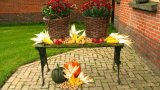 110916-Feest-40-102