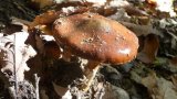 131018-11