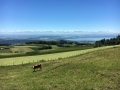 2016 Jura site26 2016 Jura site26