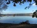Wandeling Wintelre01 Wandeling Wintelre01