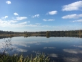 Wandeling Wintelre04 Wandeling Wintelre04