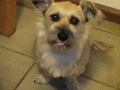 DSCF5650 DSCF5650