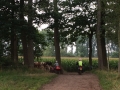 IMG_2514_R IMG_2514_R