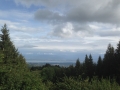 IMG_2999 IMG_2999