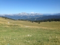 IMG_3004 IMG_3004
