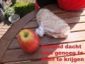 Bitterballen05 Bitterballen05